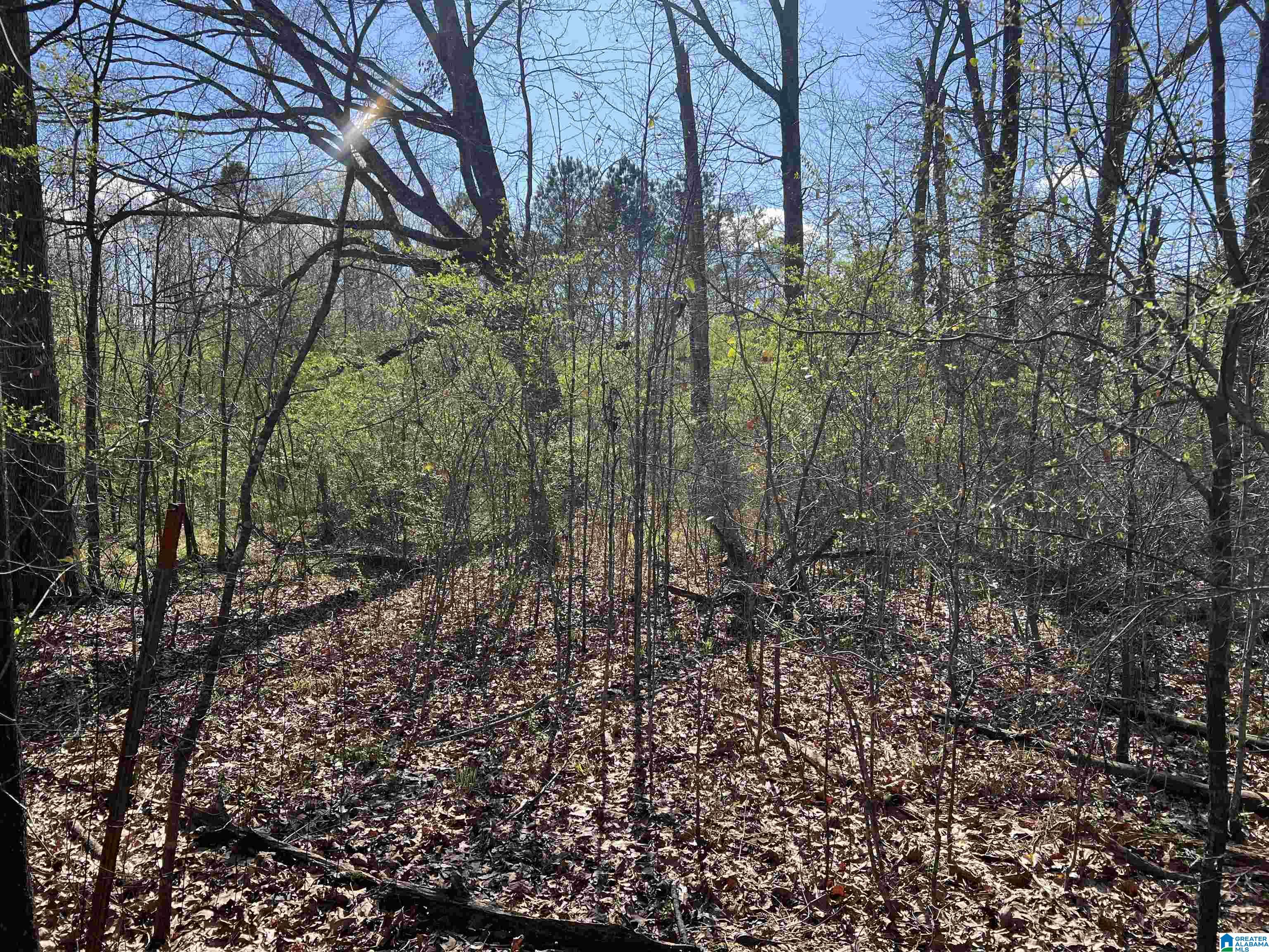 6371 Pocahontas Road, Unit 1 Bessemer, AL 35022 - Photo 2 of 6