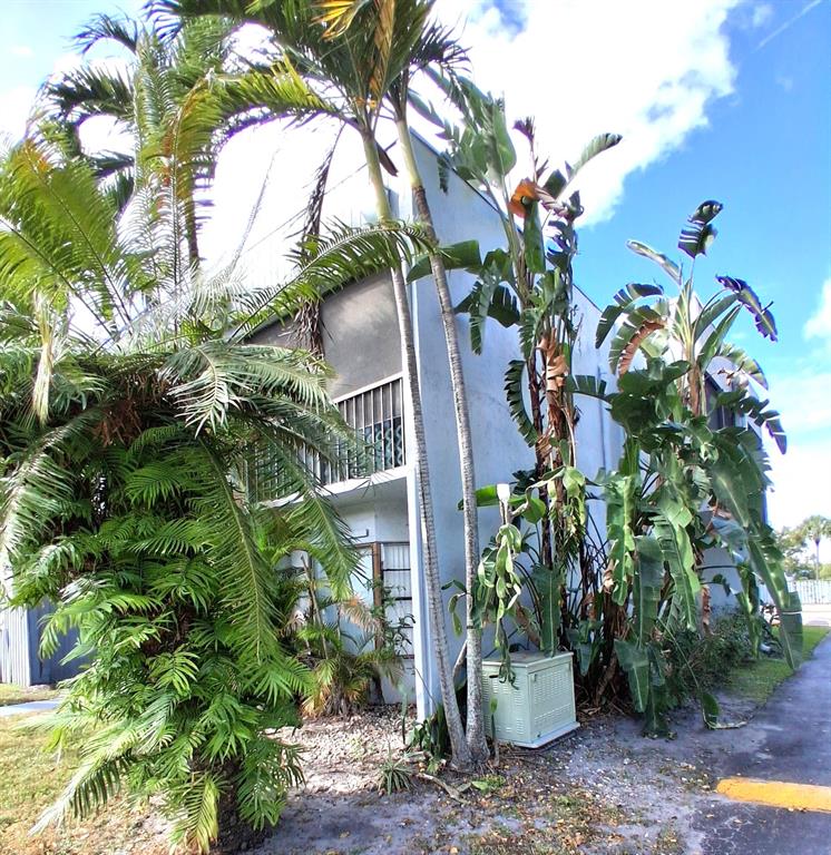 2718 South University Drive, Unit 17B Fort Lauderdale, FL 33328 - Photo 28 of 28 a view of a flower in a yard