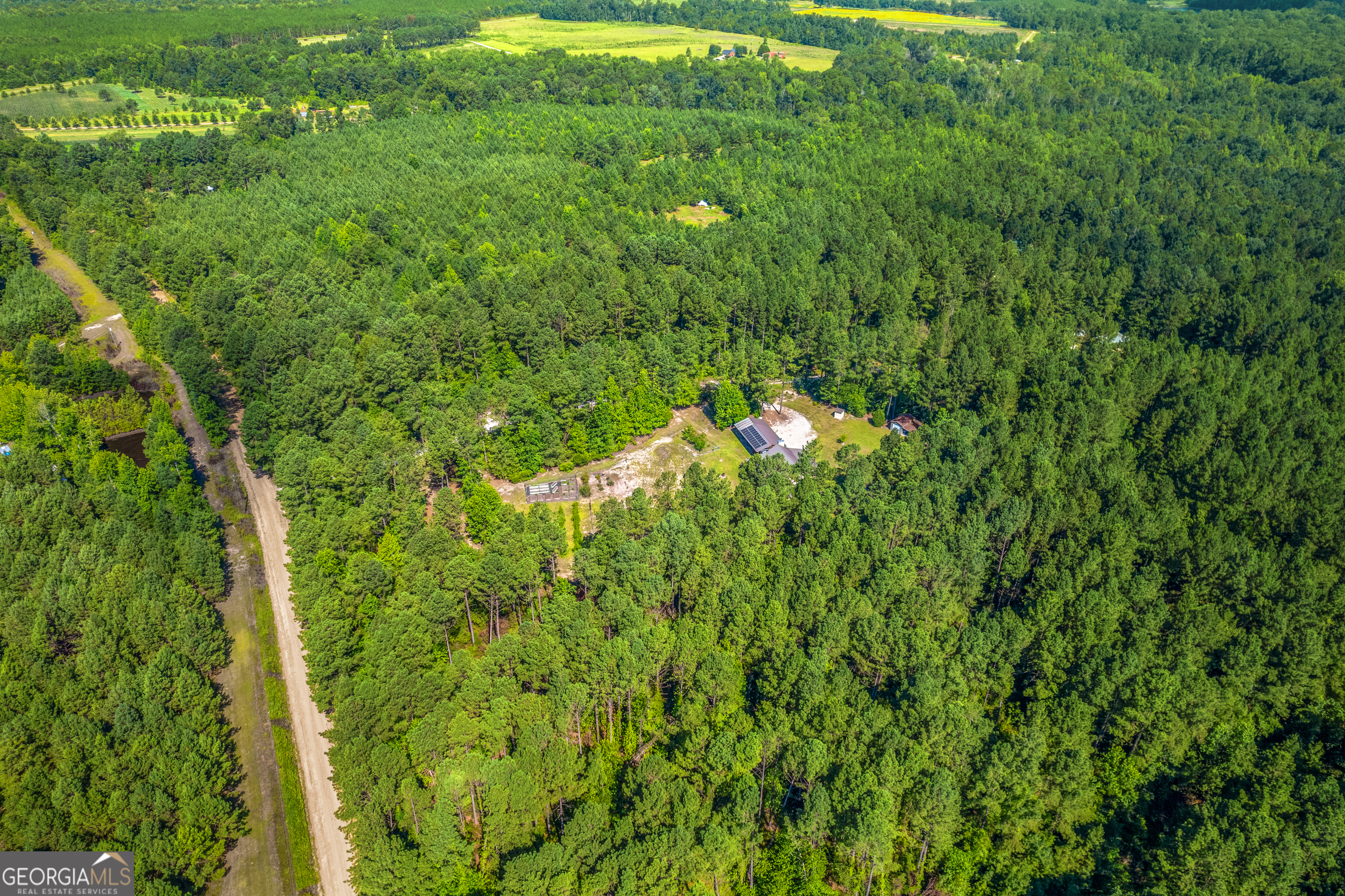 1269 Tarver Road Davisboro, GA 31018 - Photo 10 of 64