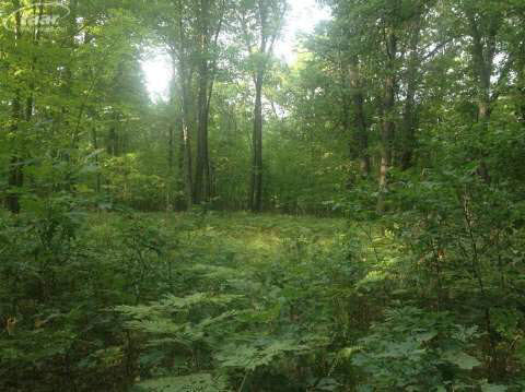 8285 Cortez Road Lake, MI 48632 - Photo 46 of 49 20386956-48.JPG