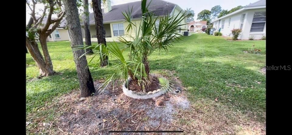 13625 Deventer Court Hudson, FL 34667 - Photo 4 of 14 a view of a backyard