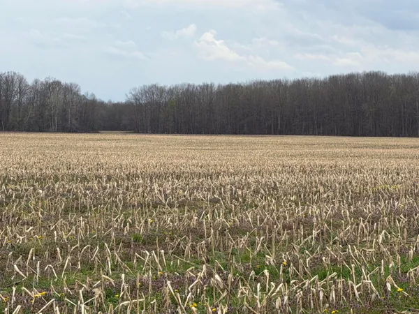 $322,800 | 0 Forman Road, Austinburg, OH 44010