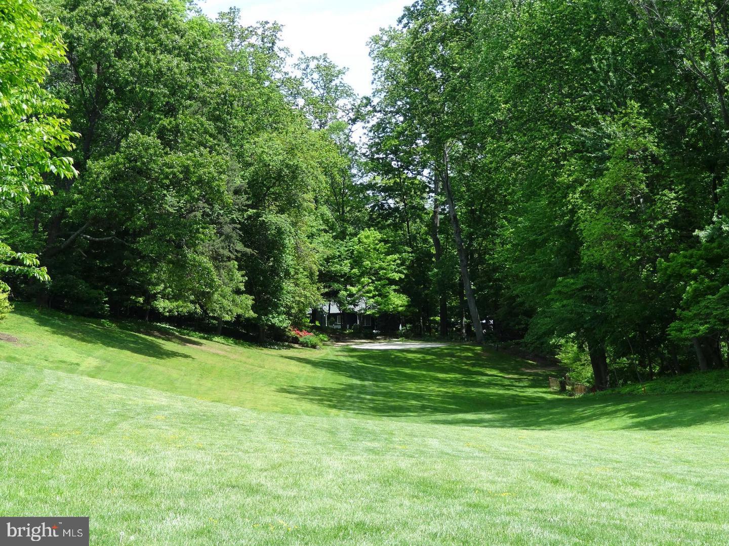 232 Nottingham Hill Annapolis, MD 21405 - Photo 59 of 70 a view of a grassy field with trees