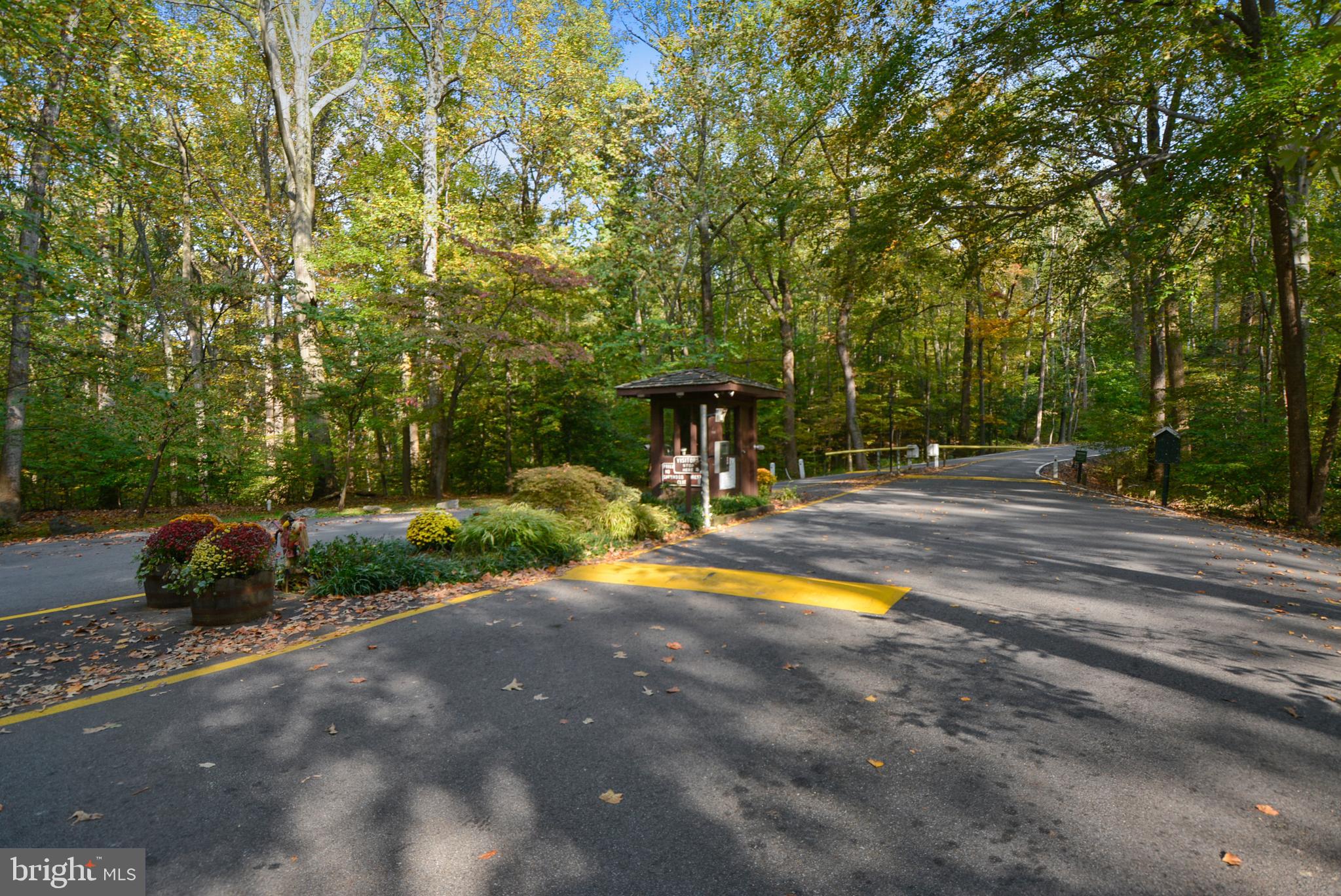 232 Nottingham Hill Annapolis, MD 21405 - Photo 68 of 70 a view of a park with plants and trees