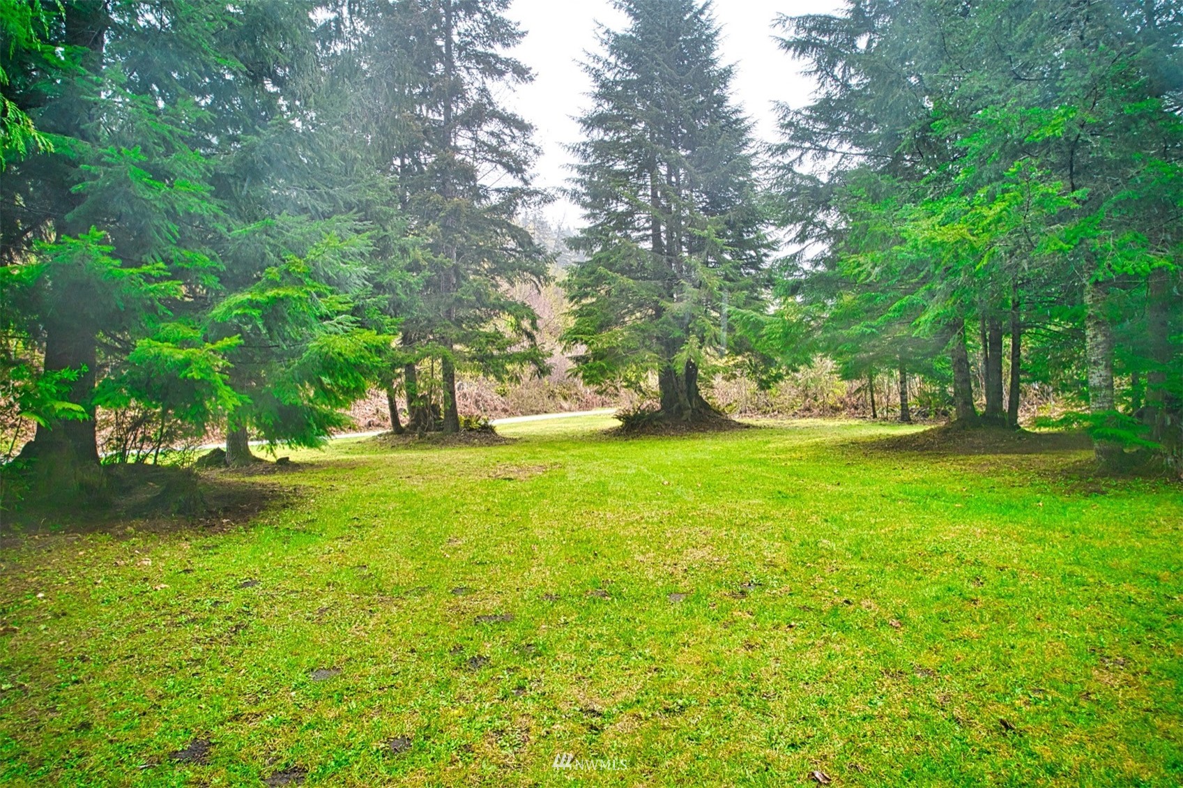 190 Leroy Road Randle, WA 98377 - Photo 24 of 31 Gallery Image 24