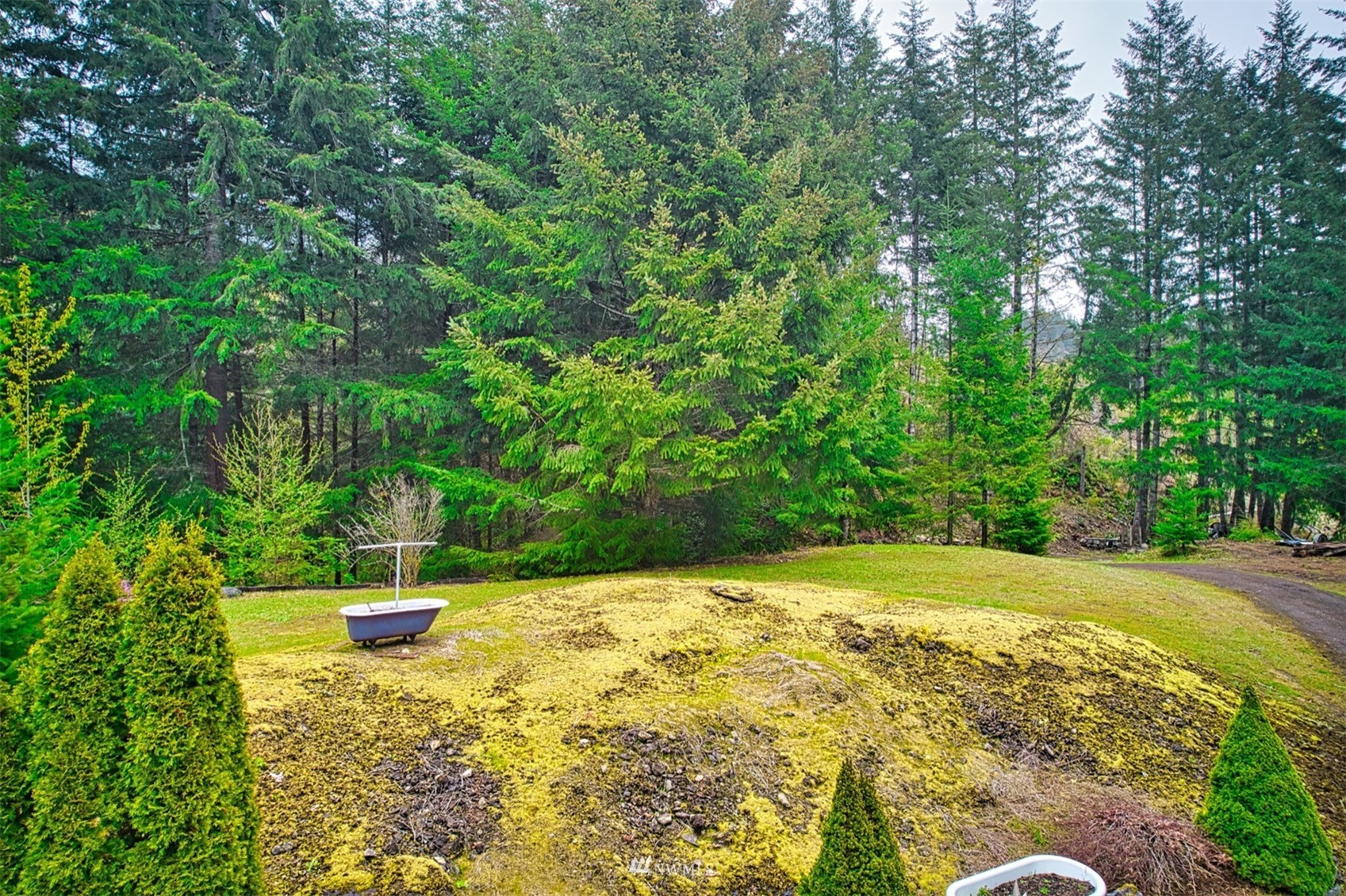 190 Leroy Road Randle, WA 98377 - Photo 9 of 31 Gallery Image 9