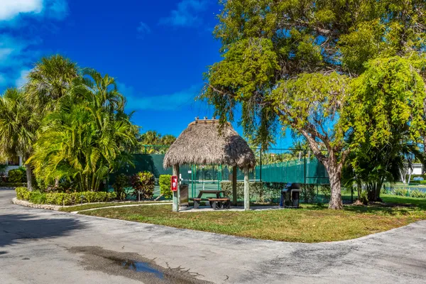 a row of palm trees and a swimming pool in the garden