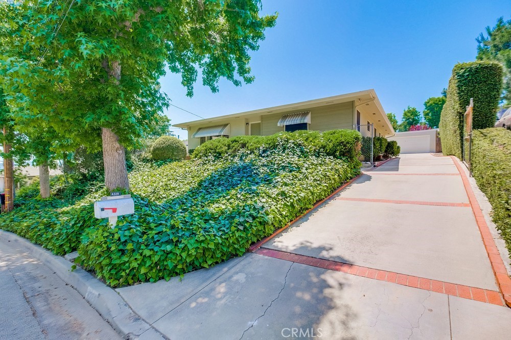 a view of a garden with pathway