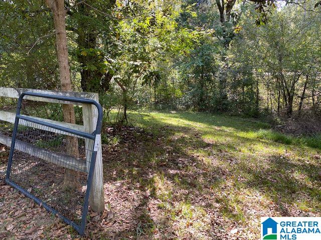 23738 Highway 231 Ragland, AL 35131 - Photo 24 of 27