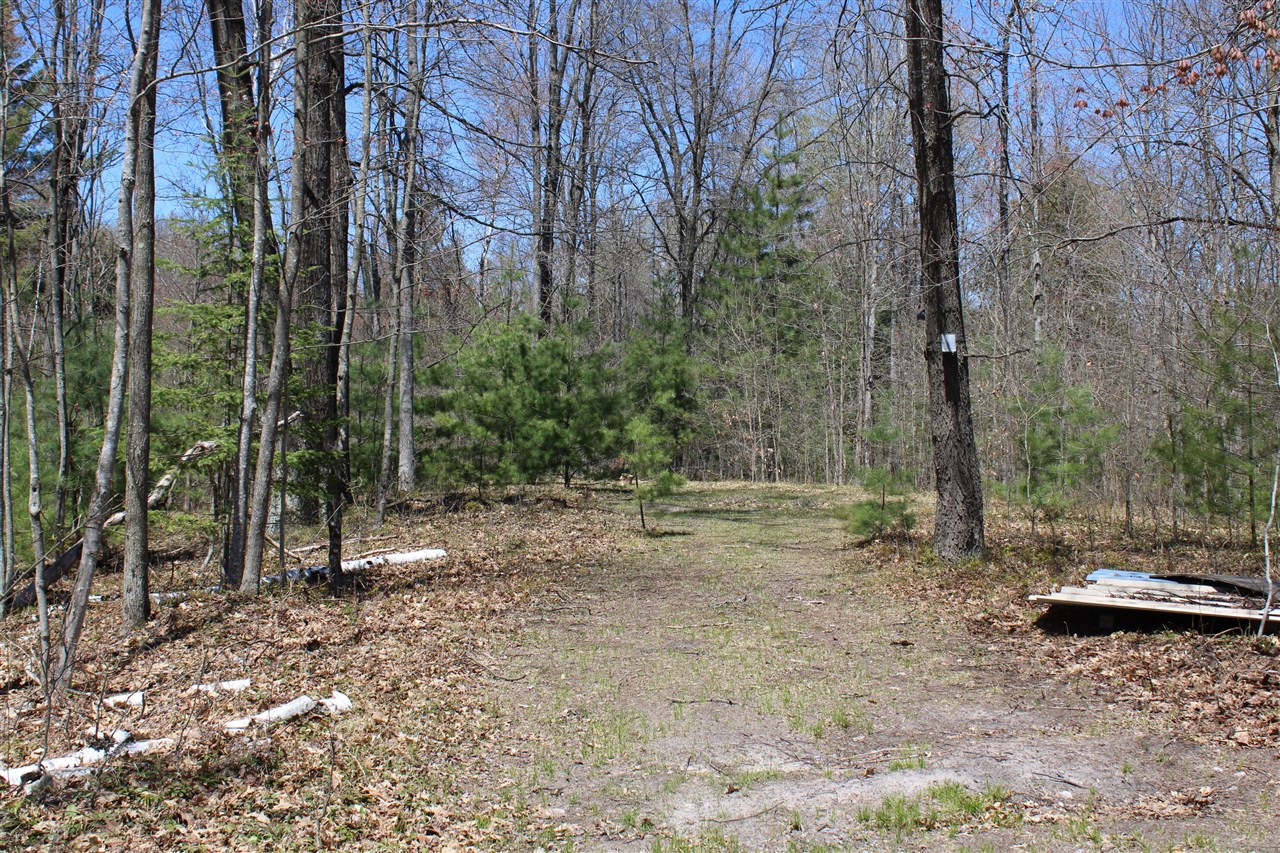 11401 Little George Lake Road Gladwin, MI 48624 - Photo 35 of 72