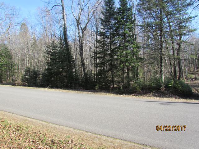 On Church Road Conover, WI 54519 - Photo 11 of 12 Gallery Image 11