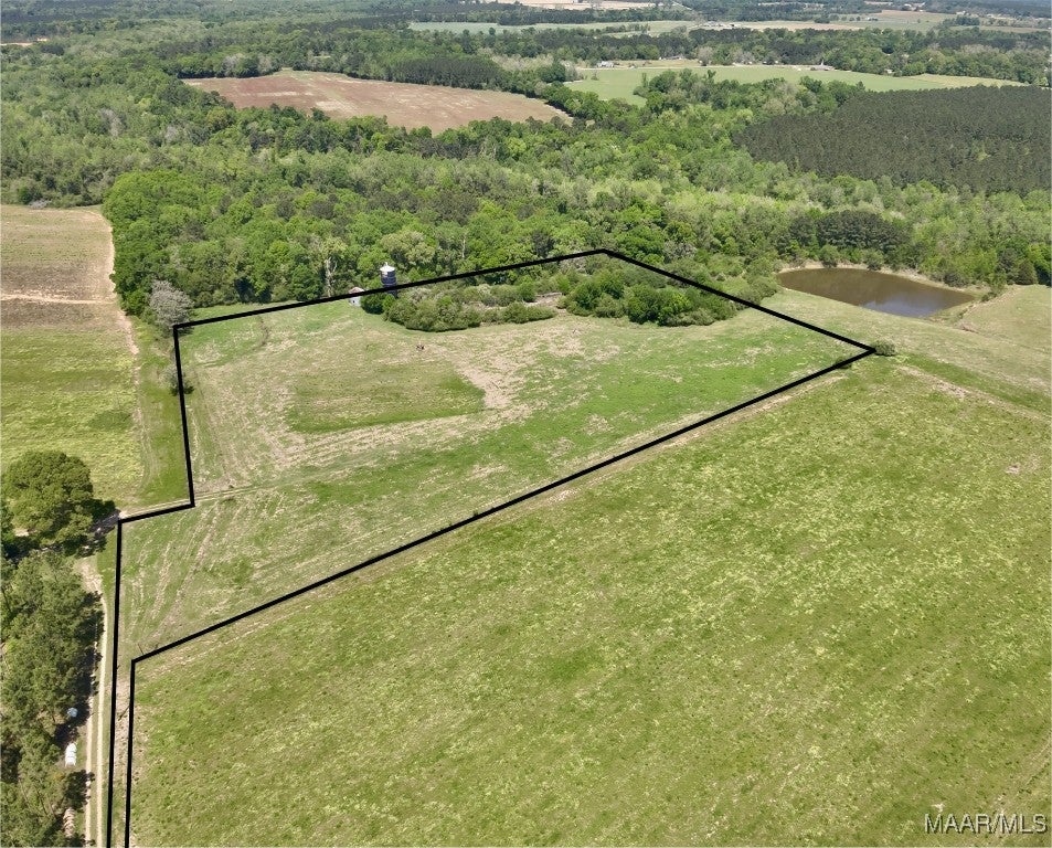 11.25-acres Huskey Road Dothan, AL 36303 - Photo 8 of 13 Gallery Image 8
