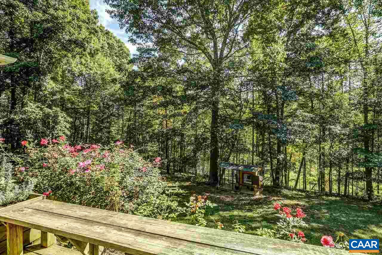 2227 Miller Lake Road Afton, VA 22920 - Photo 30 of 45