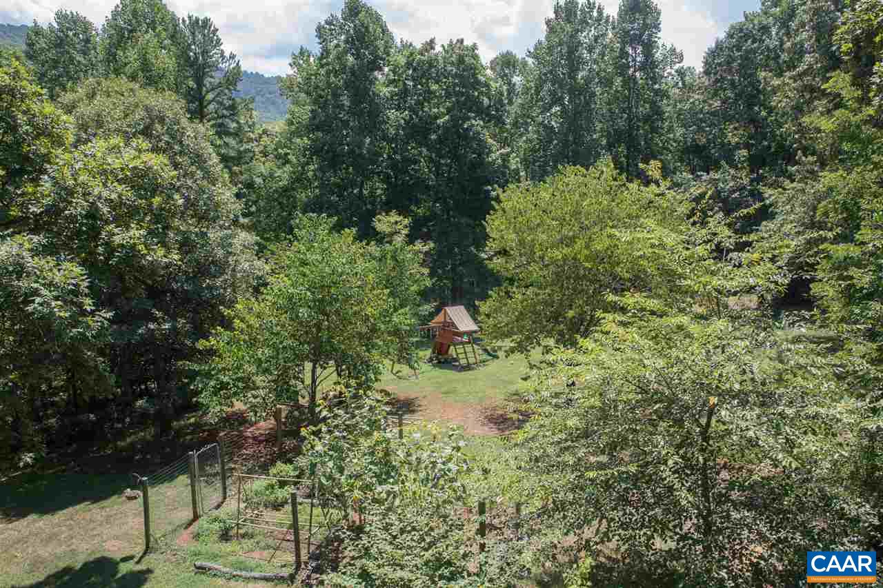 2227 Miller Lake Road Afton, VA 22920 - Photo 35 of 45 a view of a forest with a tree