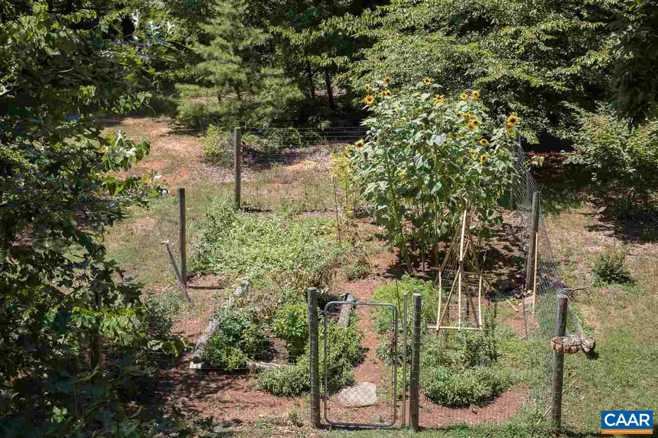 2227 Miller Lake Road Afton, VA 22920 - Photo 38 of 45 a view of a yard with plants and large trees