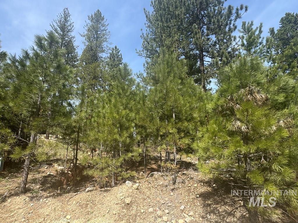 474 Timbercrest Loop McCall, ID 83638 - Photo 4 of 10
