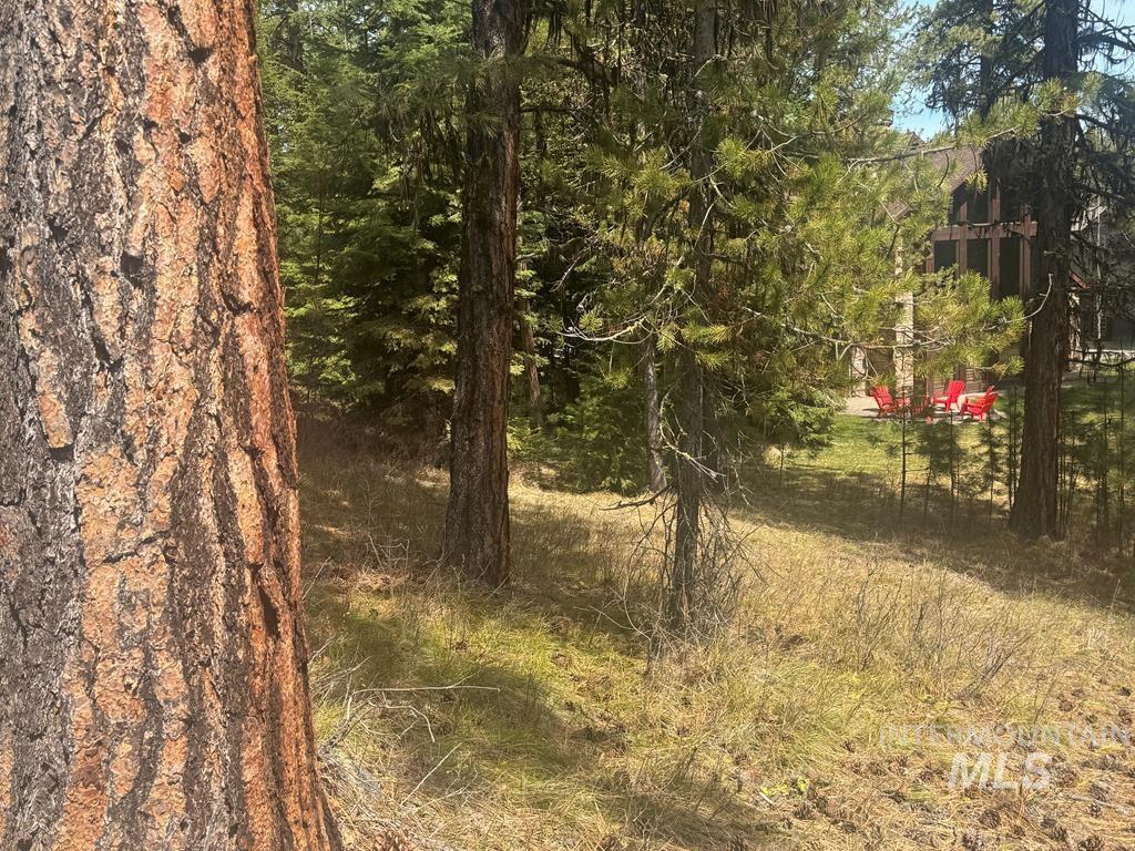 474 Timbercrest Loop McCall, ID 83638 - Photo 8 of 10