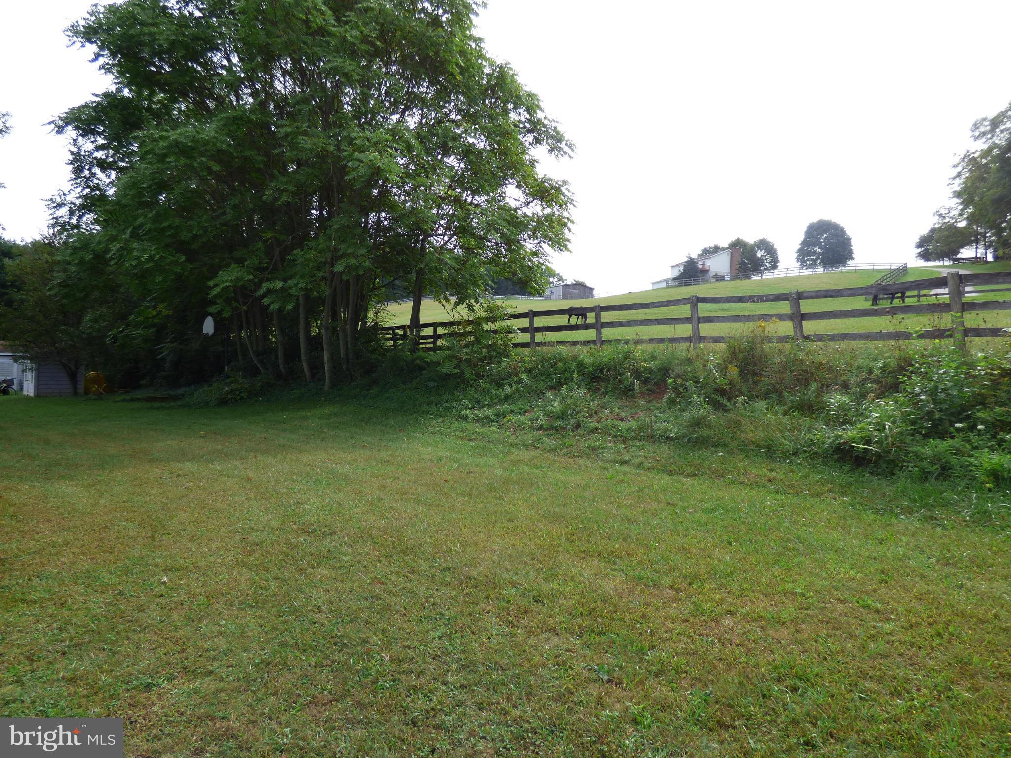 4707 Alesia Lineboro Road Manchester, MD 21102 - Photo 7 of 25 Horses Next Door