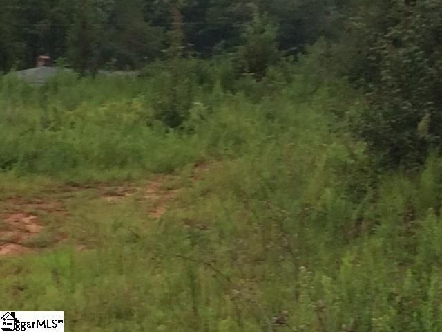 362 Lyman Lake Road Lyman, SC 29365 - Photo 10 of 16