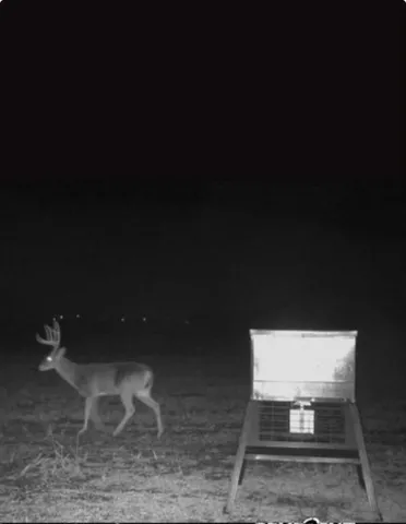 a room with a table and chair