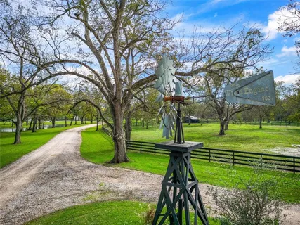 a view of a park with large trees