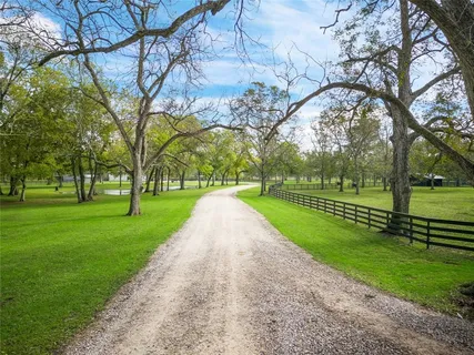 a view of a park with large trees