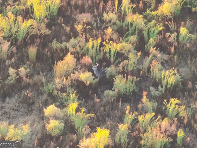 a view of a city with an ocean view