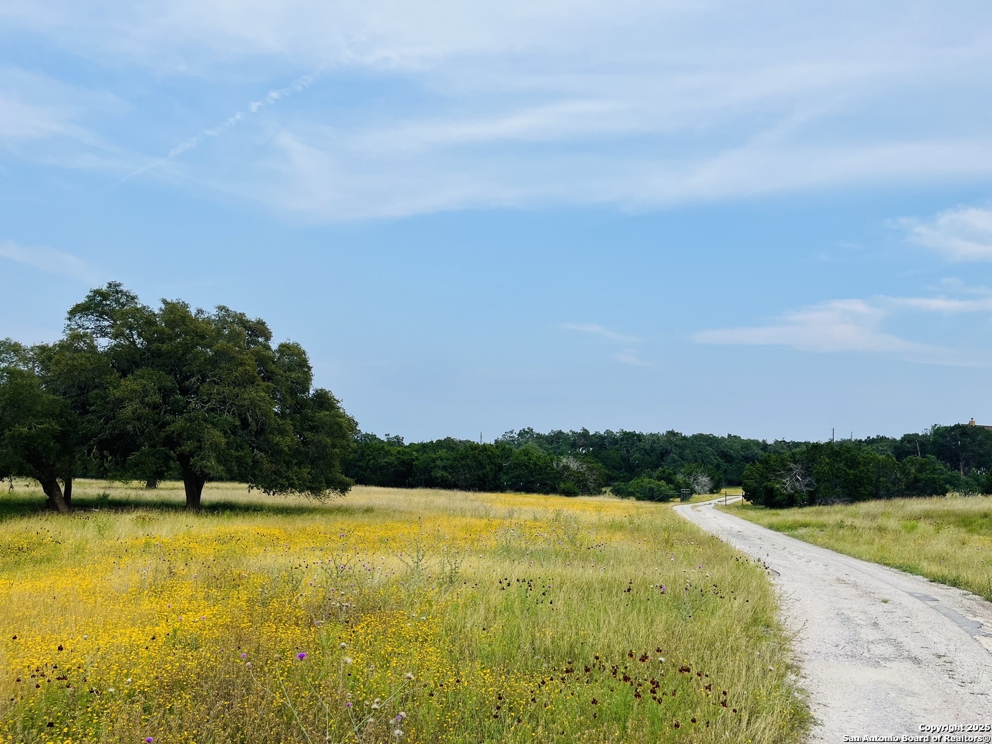 1822 Shepherds Ranch Bulverde, TX 78163 - Photo 11 of 25 a view of a swimming pool and an outdoor seating