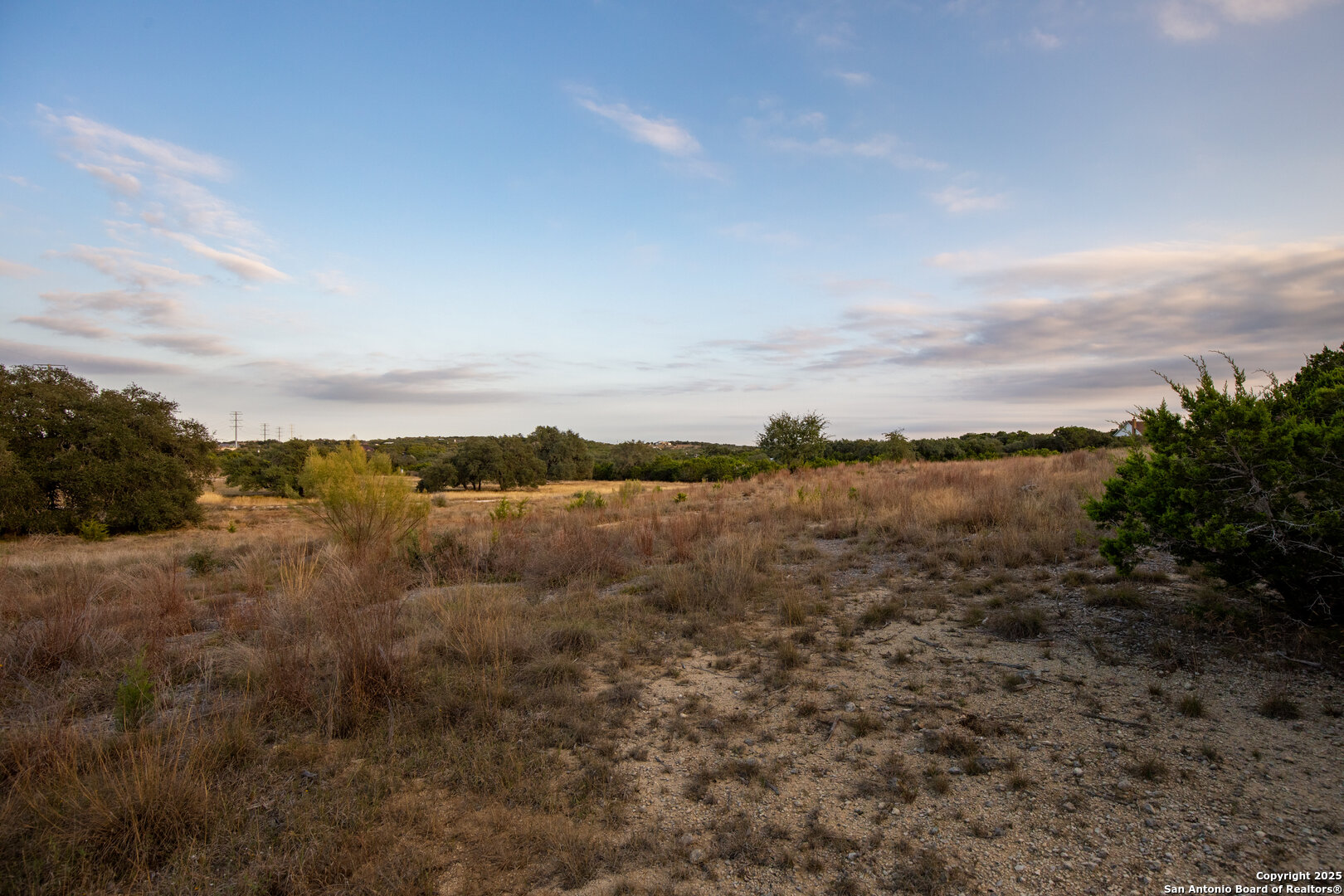 1822 Shepherds Ranch Bulverde, TX 78163 - Photo 12 of 25 a view of lake with mountain in background