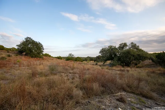 a view of a dry yard with trees