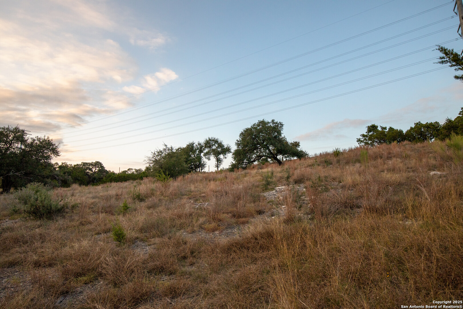 1822 Shepherds Ranch Bulverde, TX 78163 - Photo 16 of 25 a view of a dry yard with trees