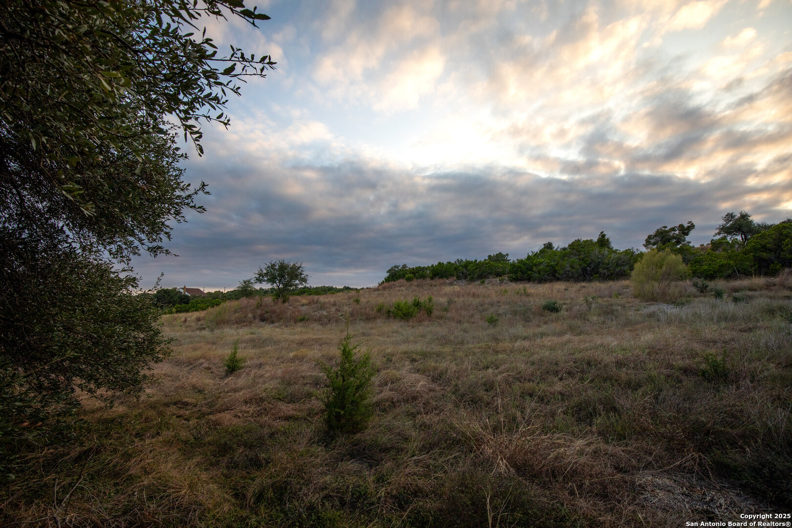 1822 Shepherds Ranch Bulverde, TX 78163 - Photo 17 of 25 a view of a dry yard with lots of trees