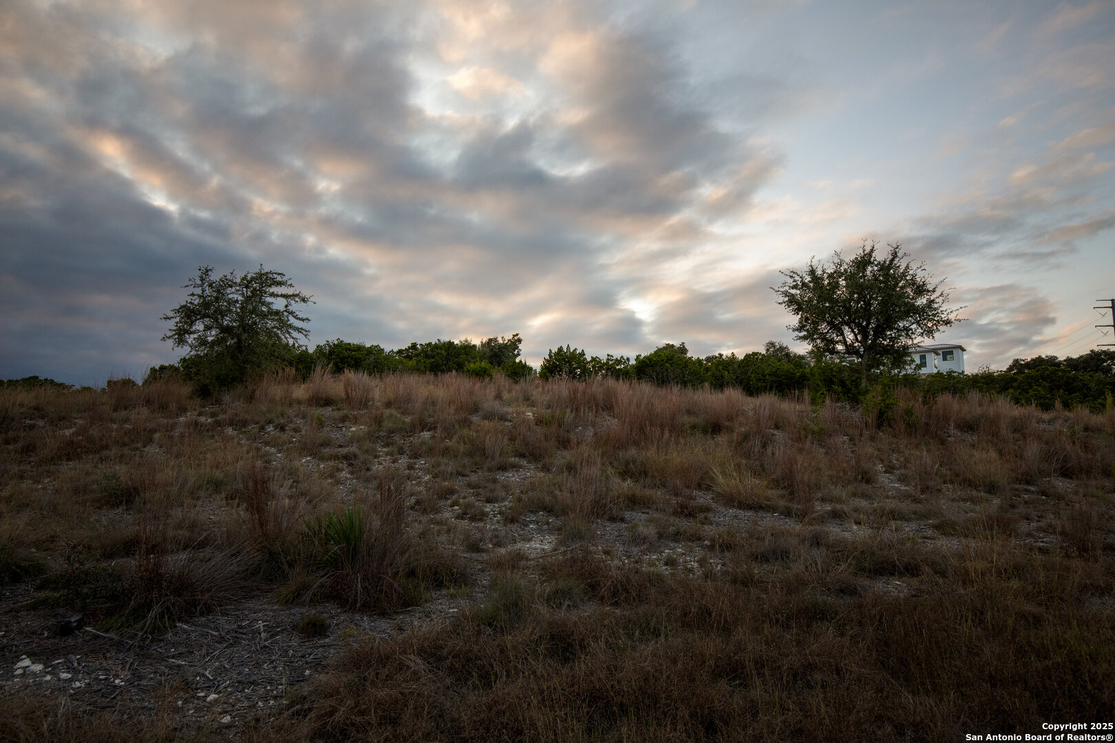 1822 Shepherds Ranch Bulverde, TX 78163 - Photo 20 of 25 a view of a bunch of trees in background