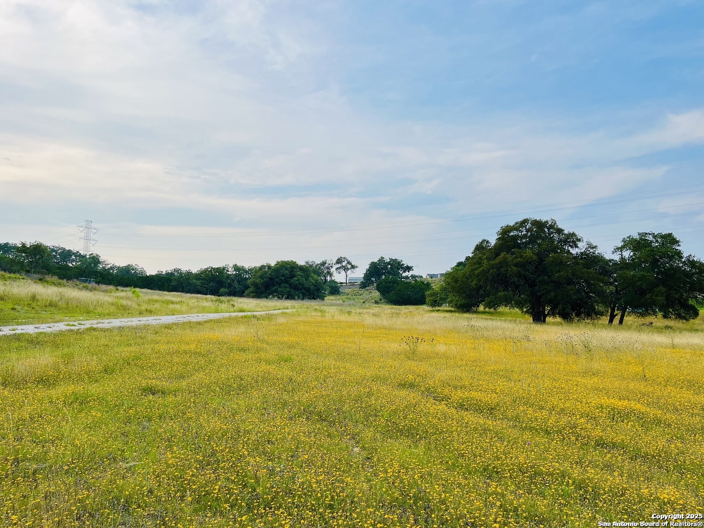 1822 Shepherds Ranch Bulverde, TX 78163 - Photo 2 of 25 a view of an ocean and beach