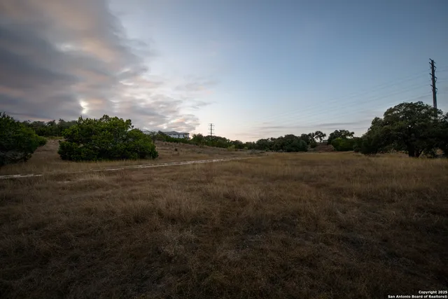 a view of a dry yard with lots of trees