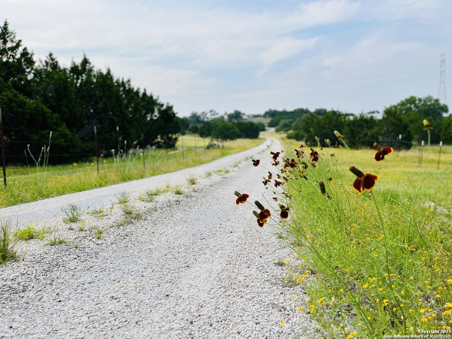 1822 Shepherds Ranch Bulverde, TX 78163 - Photo 4 of 25 a view of a yard with plants and large trees
