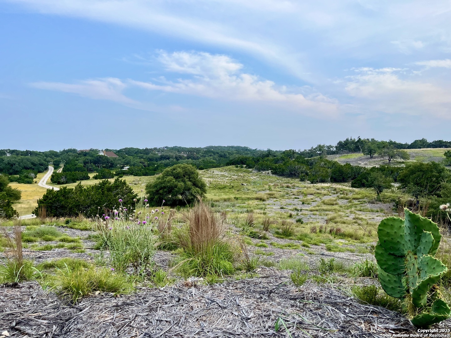 1822 Shepherds Ranch Bulverde, TX 78163 - Photo 8 of 25 a view of a garden with lawn chairs and plants