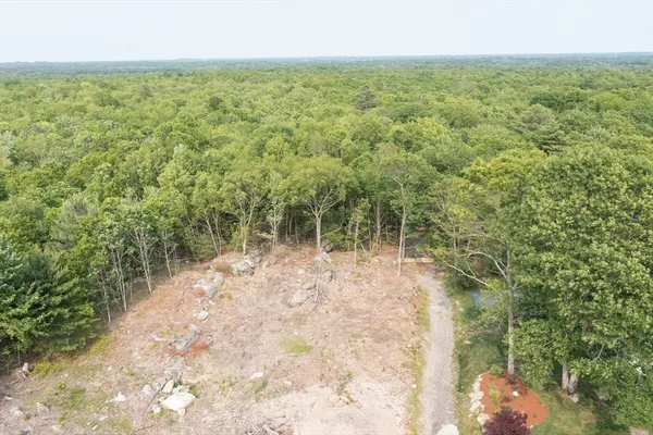 a view of a yard with an trees