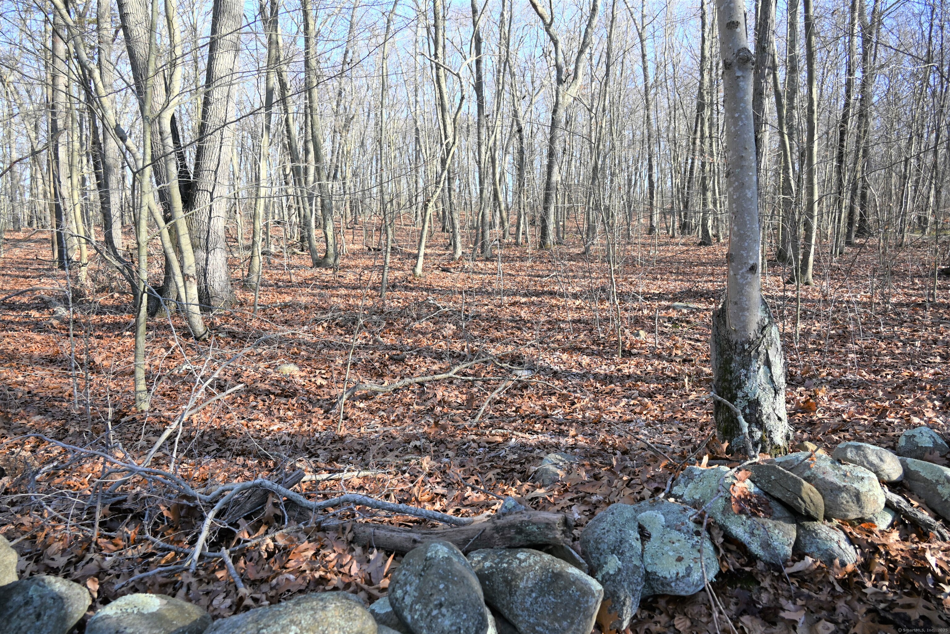 62-14 Middlesex Turnpike Old Saybrook, CT 06475 - Photo 13 of 17 a view of empty room with wooden floor and fence