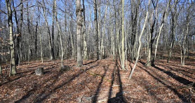 a view of outdoor space with trees