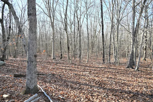 $850,000 | 62-14 Middlesex Turnpike, Old Saybrook, CT 06475