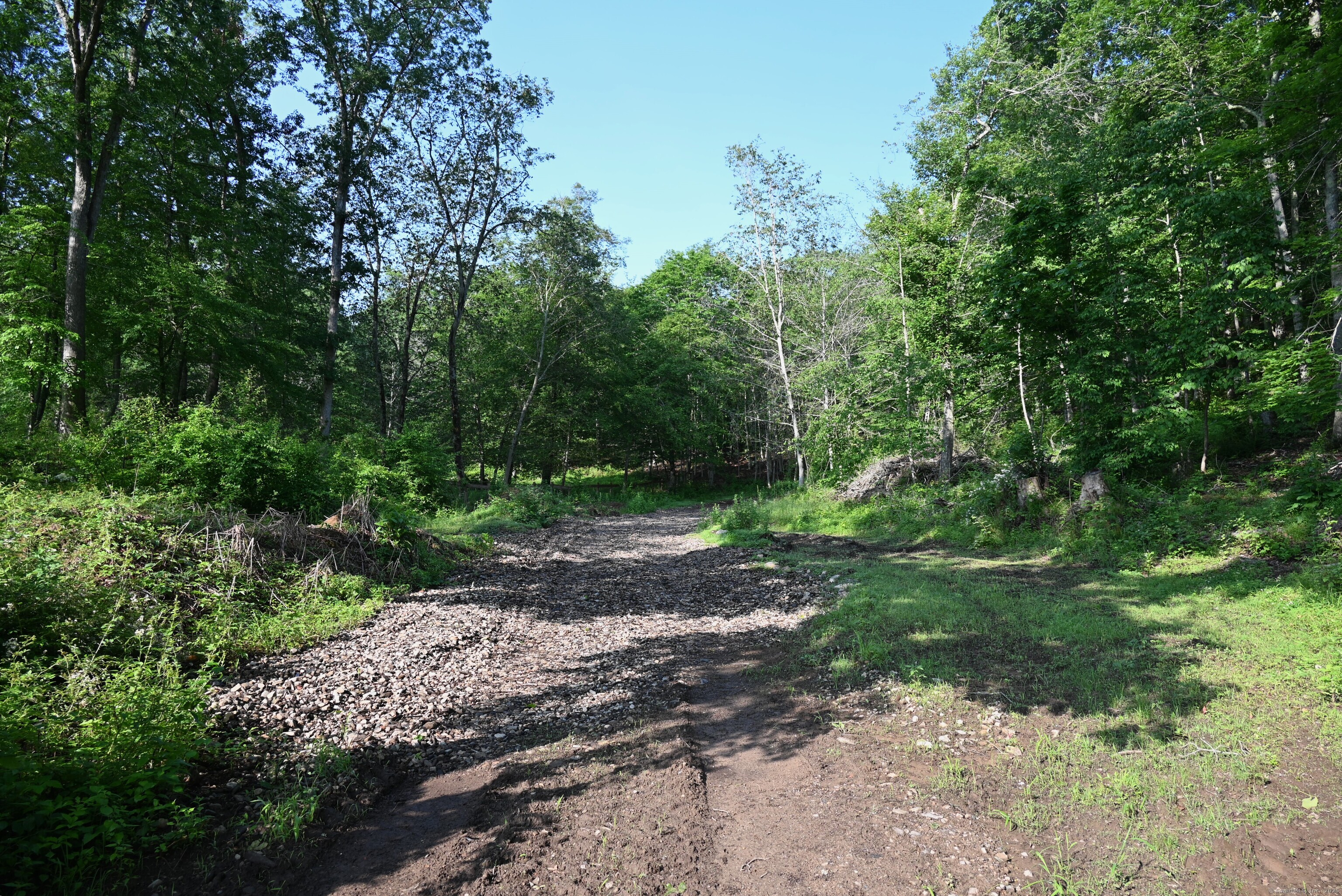 62-14 Middlesex Turnpike Old Saybrook, CT 06475 - Photo 2 of 17 a big yard with lots of green space and deers