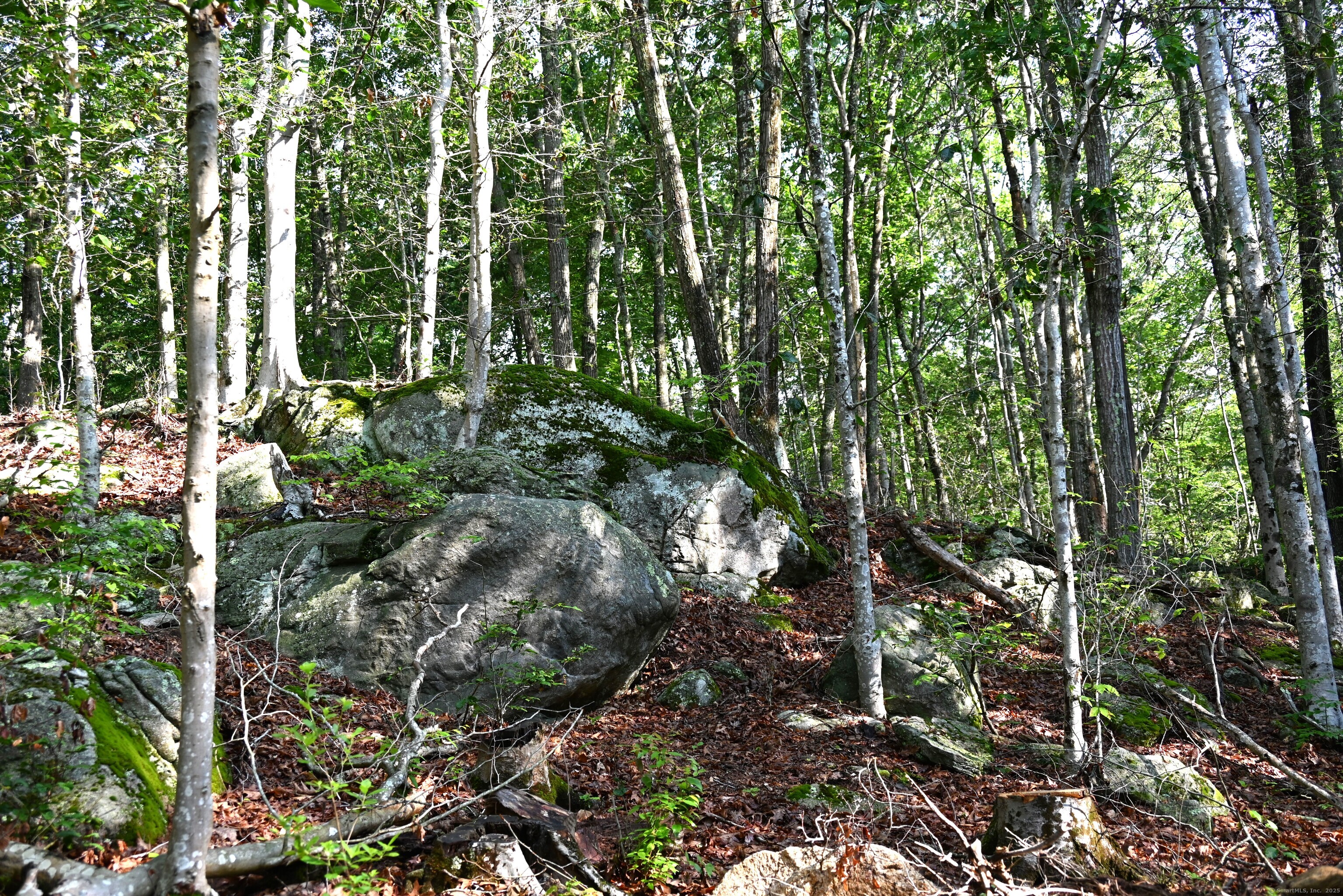 62-14 Middlesex Turnpike Old Saybrook, CT 06475 - Photo 3 of 17