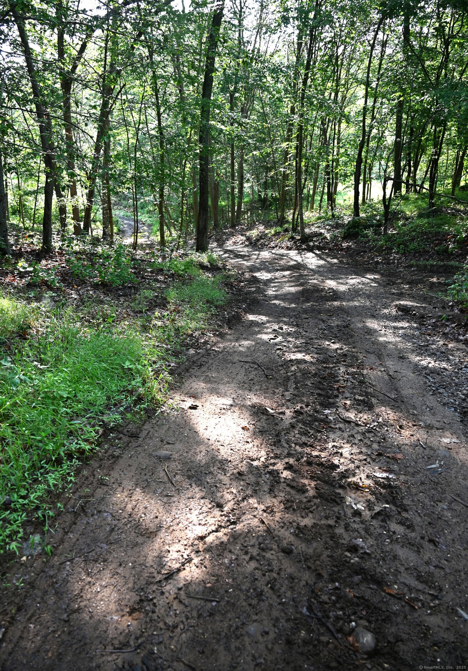 62-14 Middlesex Turnpike Old Saybrook, CT 06475 - Photo 4 of 17 a backyard of a house with lots of green space