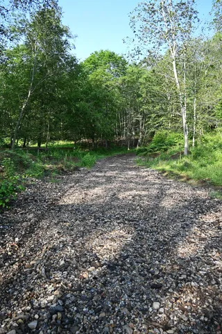 a view of a yard with large trees
