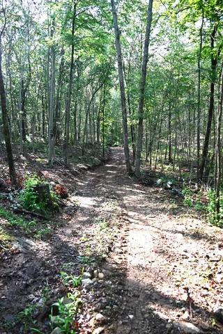 a view of outdoor space with trees