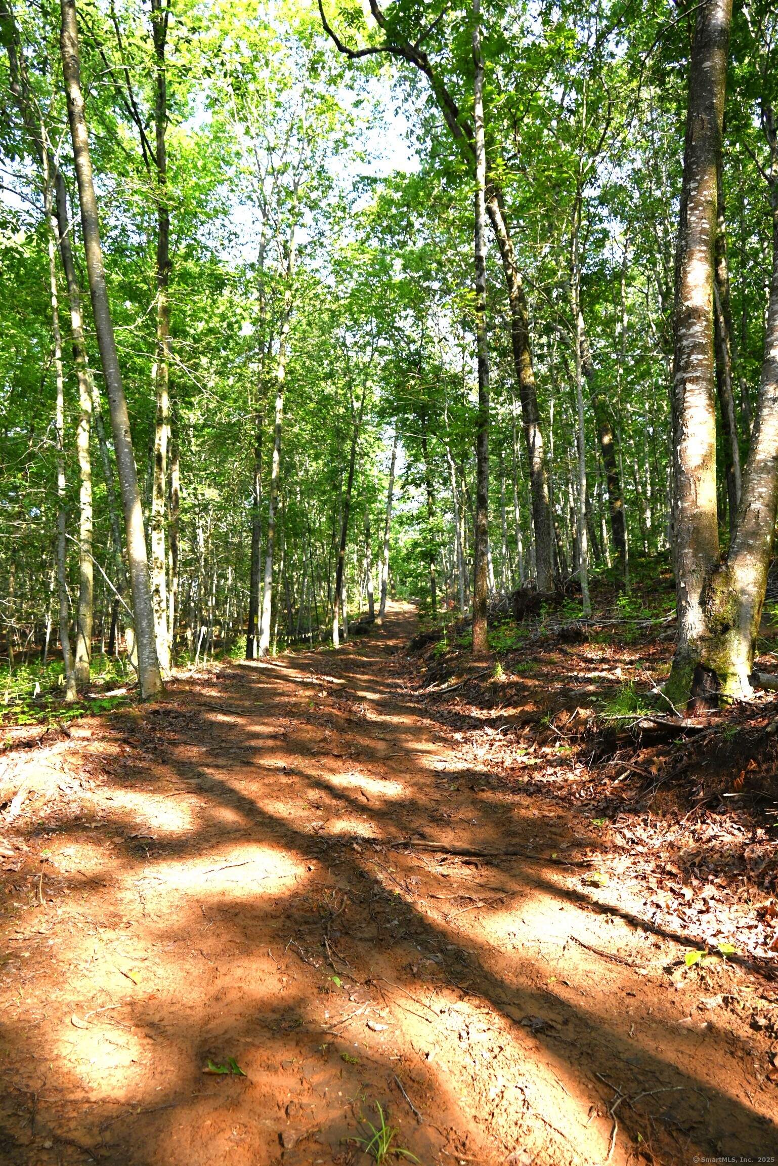 62-14 Middlesex Turnpike Old Saybrook, CT 06475 - Photo 9 of 17 a view of a yard with a tree