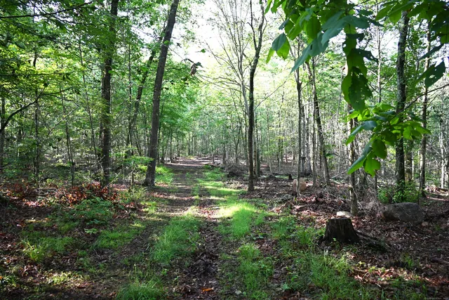 a view of a pathway with a yard