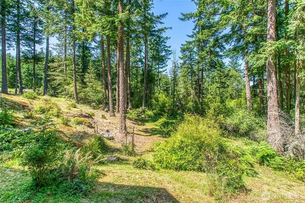 a view of outdoor space and trees