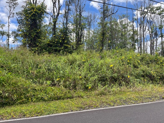 16-2143 Lot 71 Tradewind Drive Pahoa, HI 96778 - Photo 4 of 10